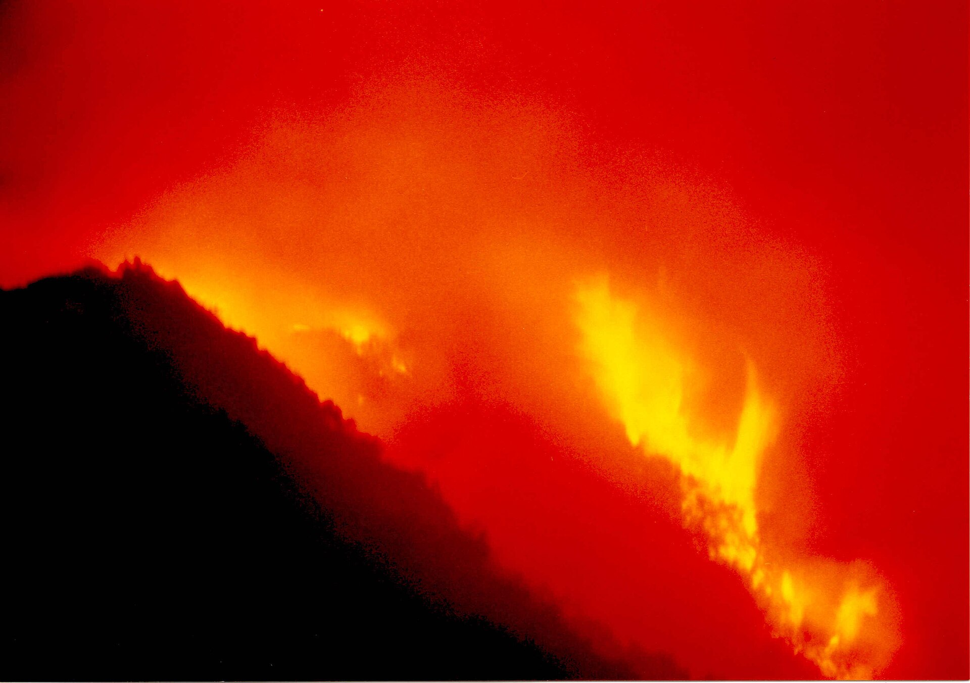 Incendio forestal